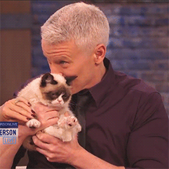 Anderson Cooper and Grumpy Cat